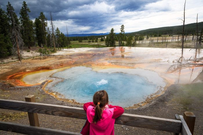 EcoTour Adventures — , 