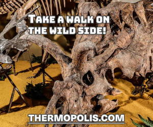 Thermopolis WY | Dinos - Hot Springs - Family Fun