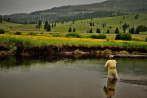 GYFO - Gallatin River Guided Fly Fishing Trips