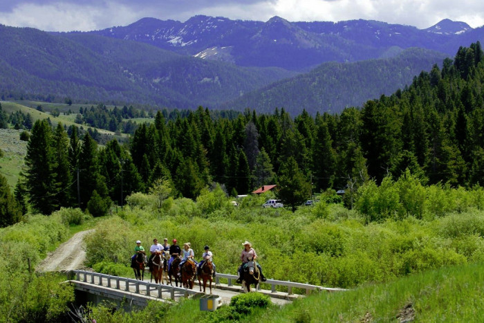 Jake's Horses — Gallatin Gateway, MT