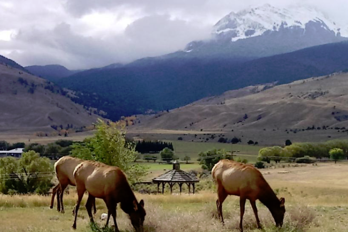 Yellowstone Basin Inn — Gardiner, MT