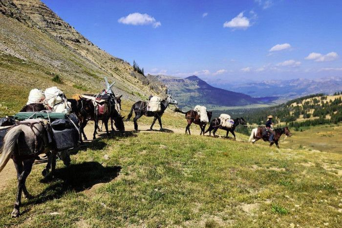 Yellowstone Horse and Mule — Absarokee, MT