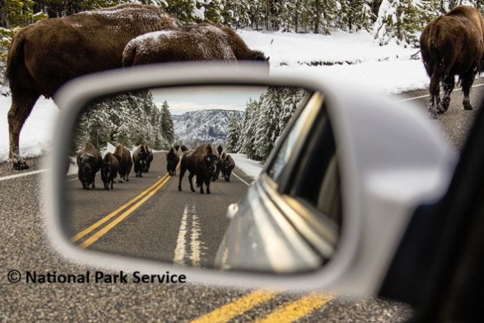 Yellowstone Rent A Car — Belgrade, MT