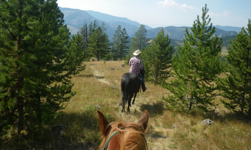 Horseback Riding at Big Sky