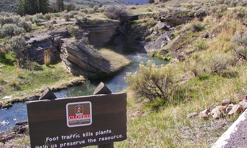 Boiling Springs Gardner River Yellowstone