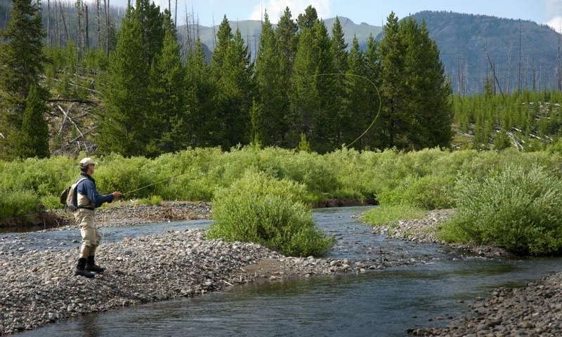 Slough Creek Fly Fishing