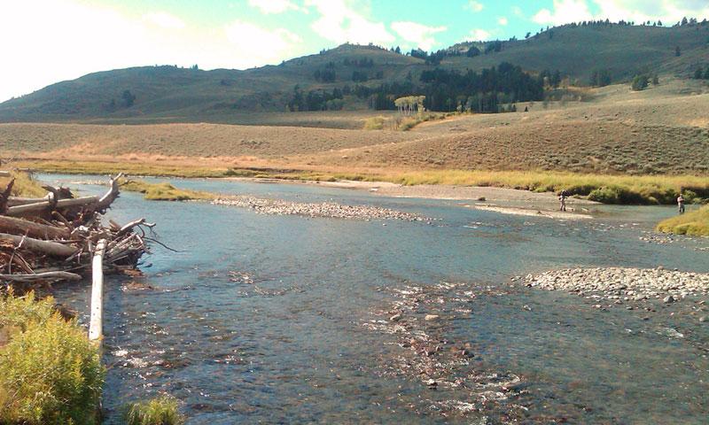Slough Creek in Yellowstone National Park