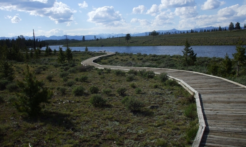Two Ribbons Trail in the Madison Area of Yellowstone