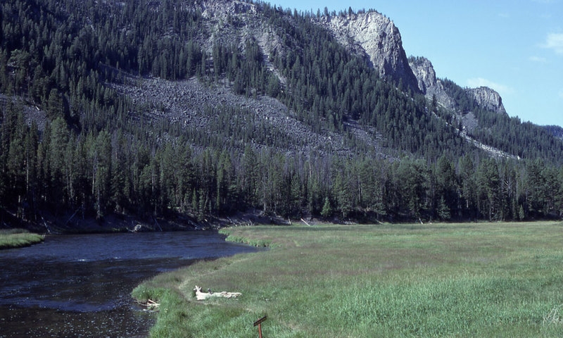 Madison River Yellowstone