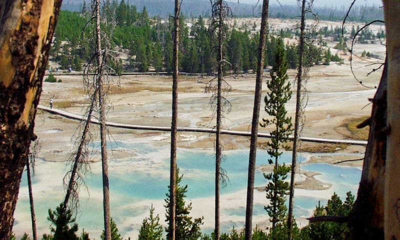 Norris Geyser Basin Yellowstone