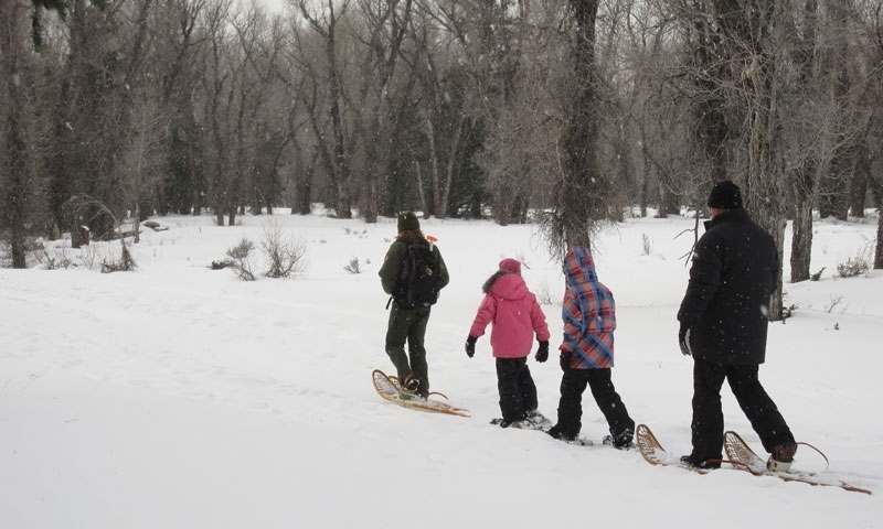 Snowshoeing Grand Teton National Park Ranger Program Wyoming Winter