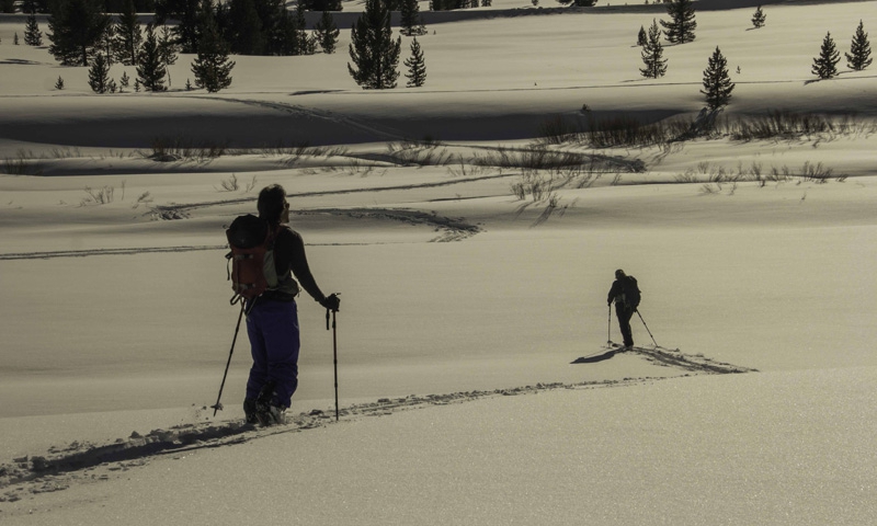 Cross Country Skiing in Yellowstone