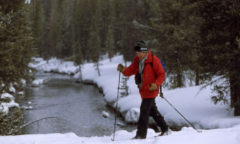 Cross Country Skiing in Yellowstone
