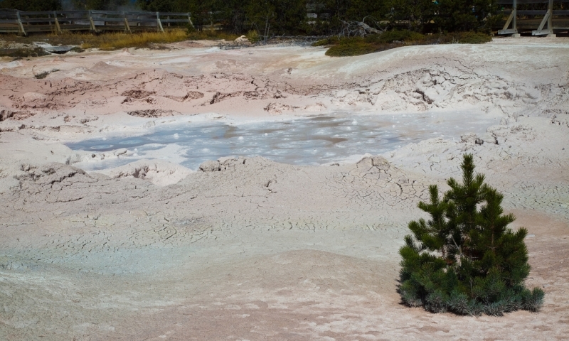 Fountain Paint Pots in Yellowstone