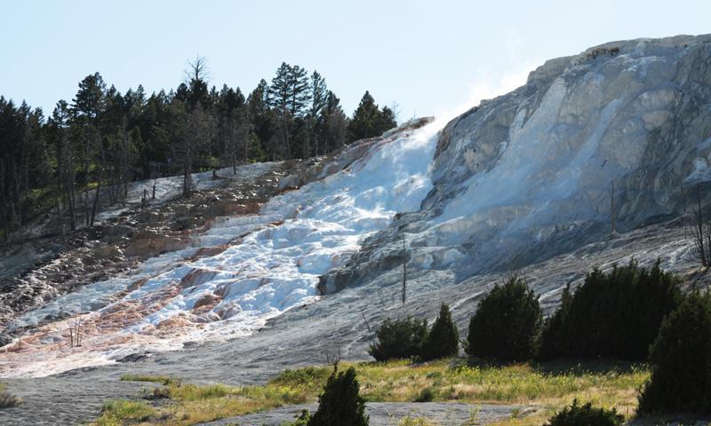 Mammoth Hot Springs Terrace in Yellowstone