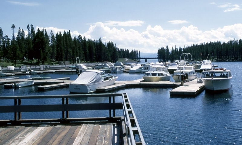 Bridge Bay Marina Yellowstone