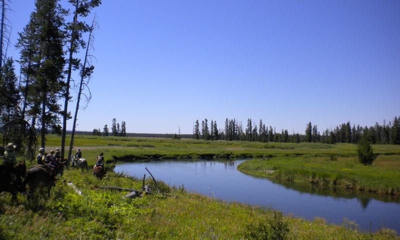 Bechler River in Yellowstone National Park