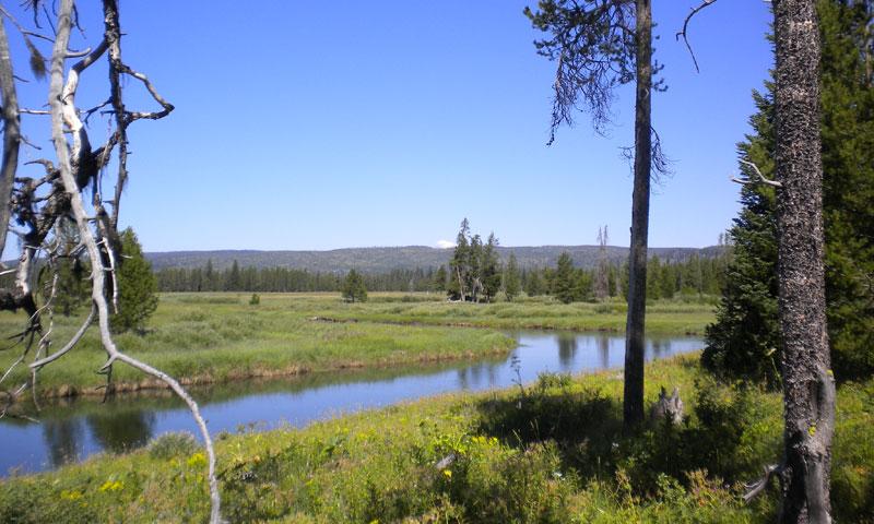 Bechler River in Yellowstone National Park