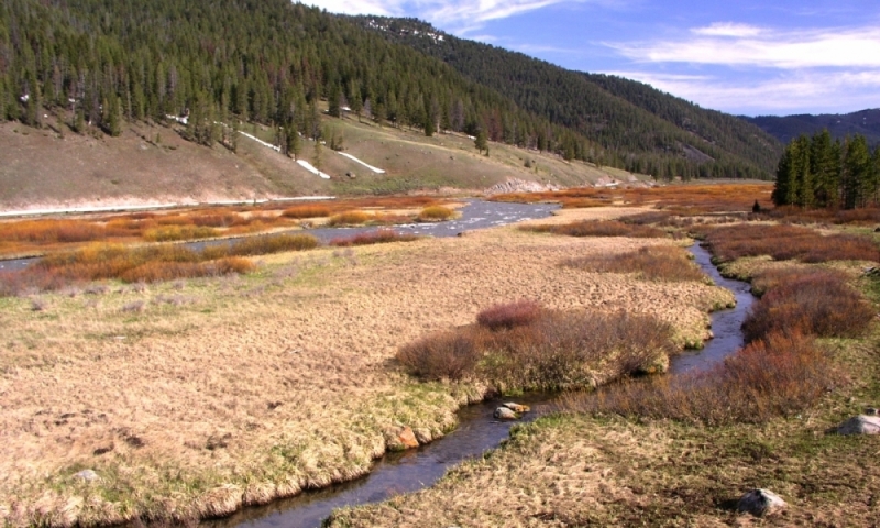 Gallatin River Yellowstone