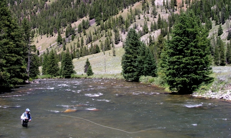Gallatin River Yellowstone Fly Fishing Montana