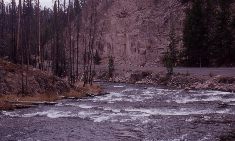 Gibbon River Yellowstone