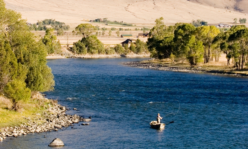 Fly Fishing the Yellowstone River