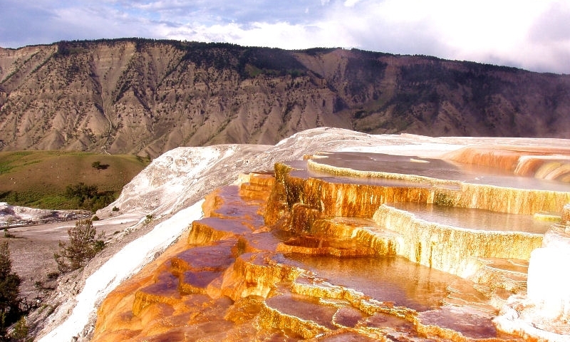 Image result for Mammoth Hot Springs