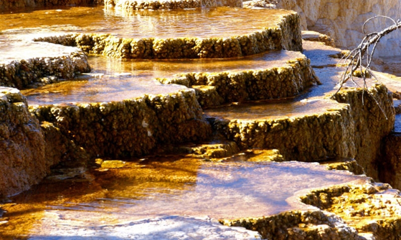 Mammoth Hot Springs Yellowstone