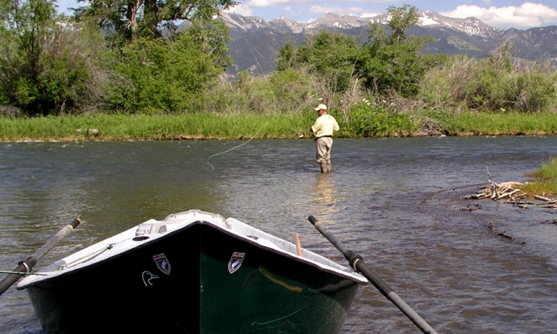 Madison River Montana Fishing