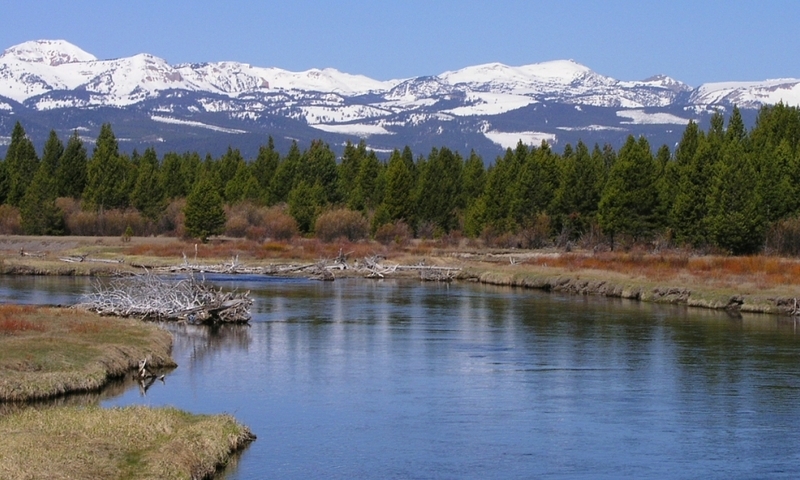 Madison River Montana Fishing