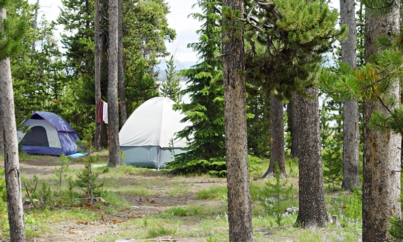 Grant Village Campground
