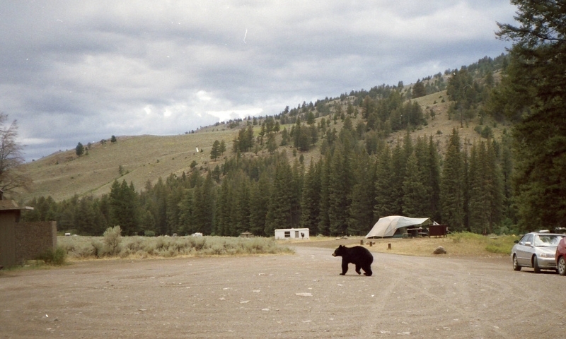 Slough Creek Campground