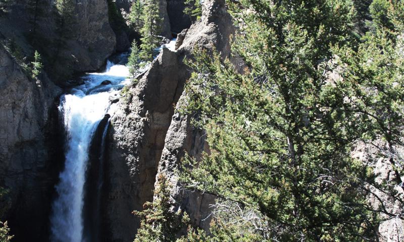 Tower Falls near Tower Roosevelt Area in Yellowstone