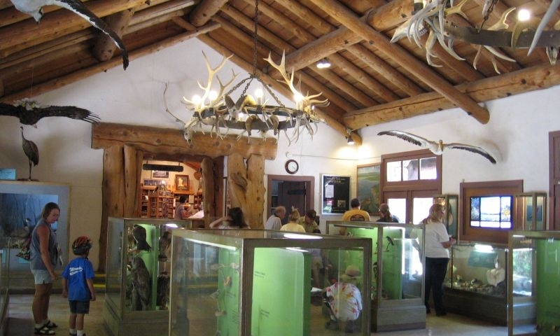 Fishing Bridge VIsitor Center in Yellowstone