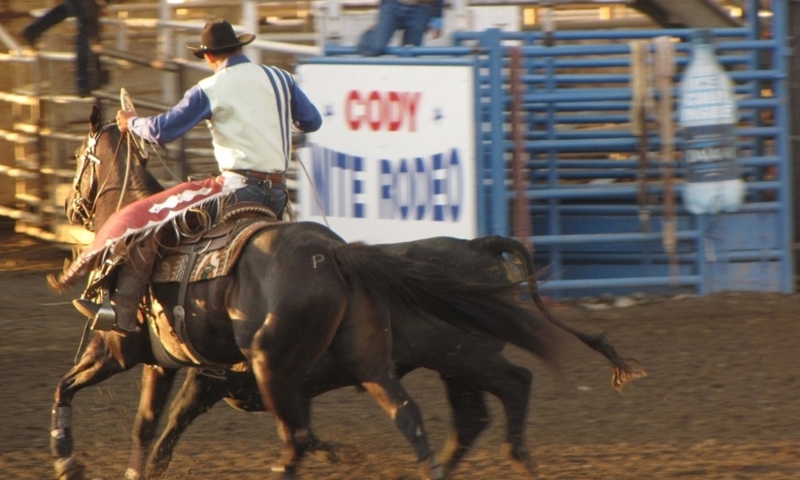 Cody Nite Rodeo in Wyoming