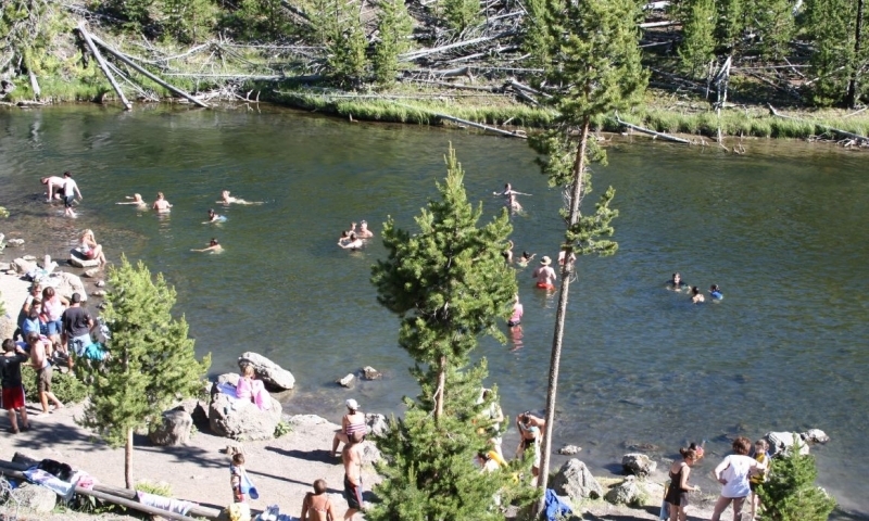 Swimming in the Firehole River in Yellowstone