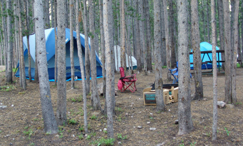 Canyon Campground