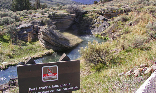Thermal Dangers