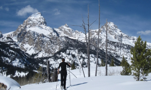 Jackson Hole Activities