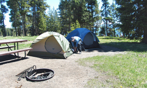Bridge Bay Campground