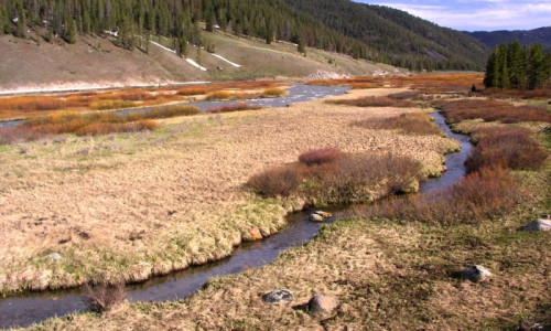 Gallatin River