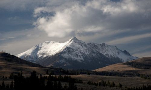 Electric Peak