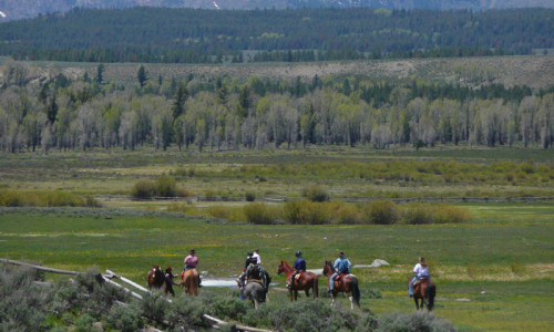Horseback Riding