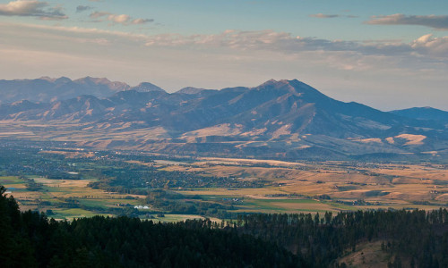 Bozeman