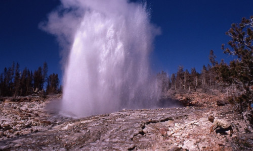 Steamboat Geyser