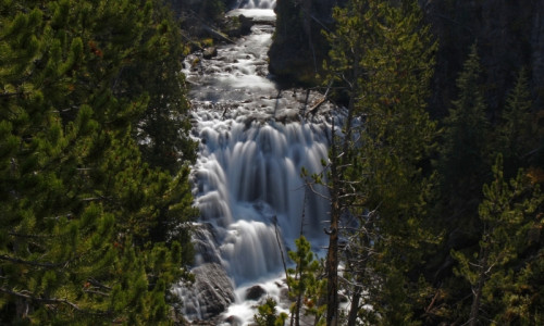 Kepler Cascades