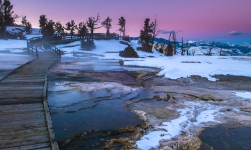 Winter Packages