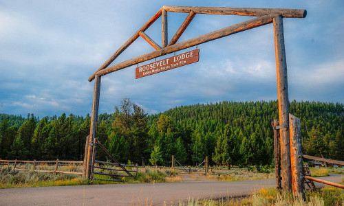 Roosevelt Lodge & Cabins