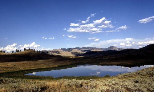 Tower-Roosevelt to Mammoth Hot Springs