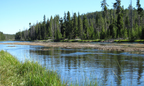 Norris Geyser Basin to Old Faithful